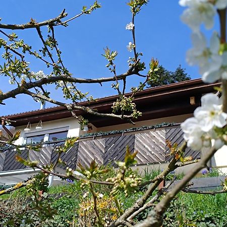 ברגפרהייט Ferienwohnung Zum Maerchenwald מראה חיצוני תמונה