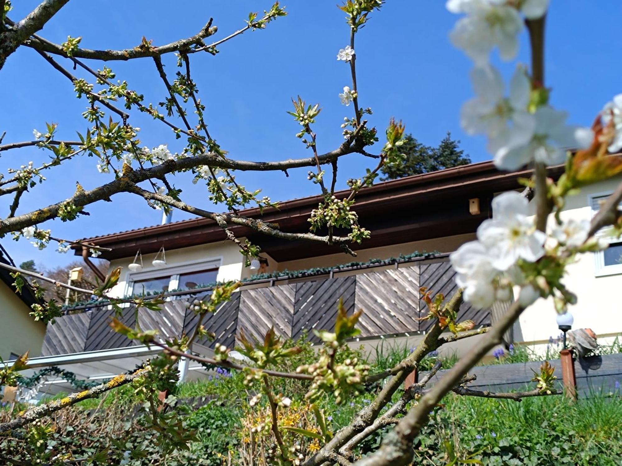 ברגפרהייט Ferienwohnung Zum Maerchenwald מראה חיצוני תמונה