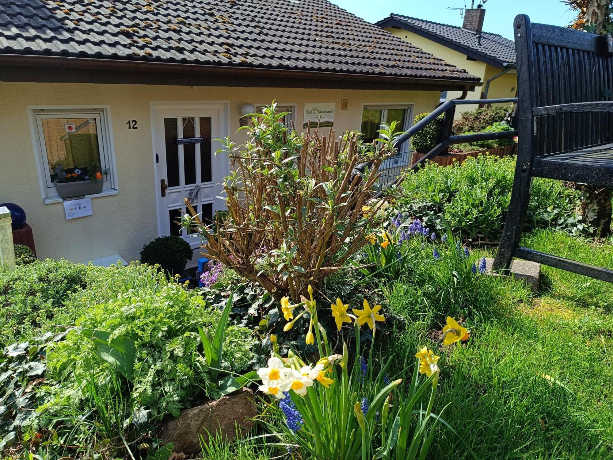 ברגפרהייט Ferienwohnung Zum Maerchenwald מראה חיצוני תמונה