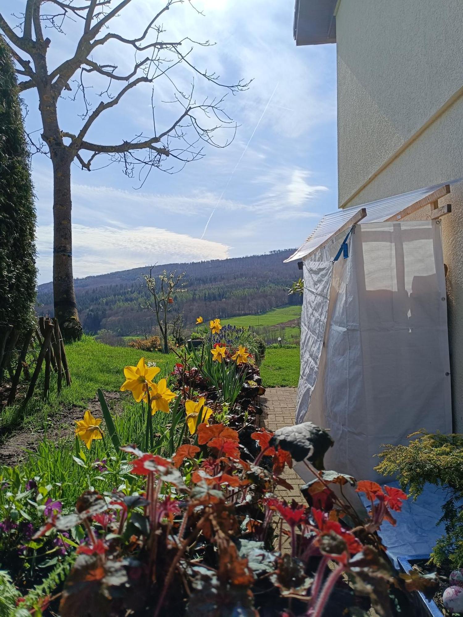 ברגפרהייט Ferienwohnung Zum Maerchenwald מראה חיצוני תמונה